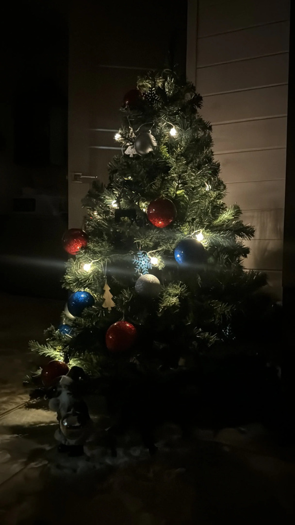 Апартаменты Rossignol