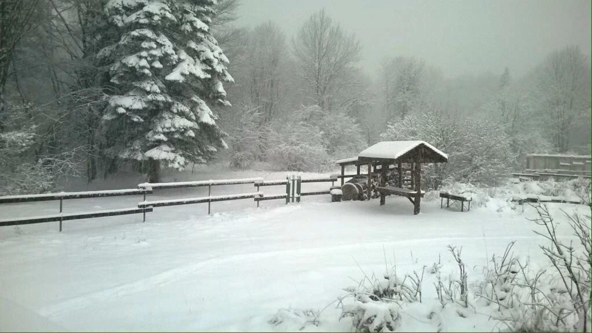 Ферма Колхидские Ворота