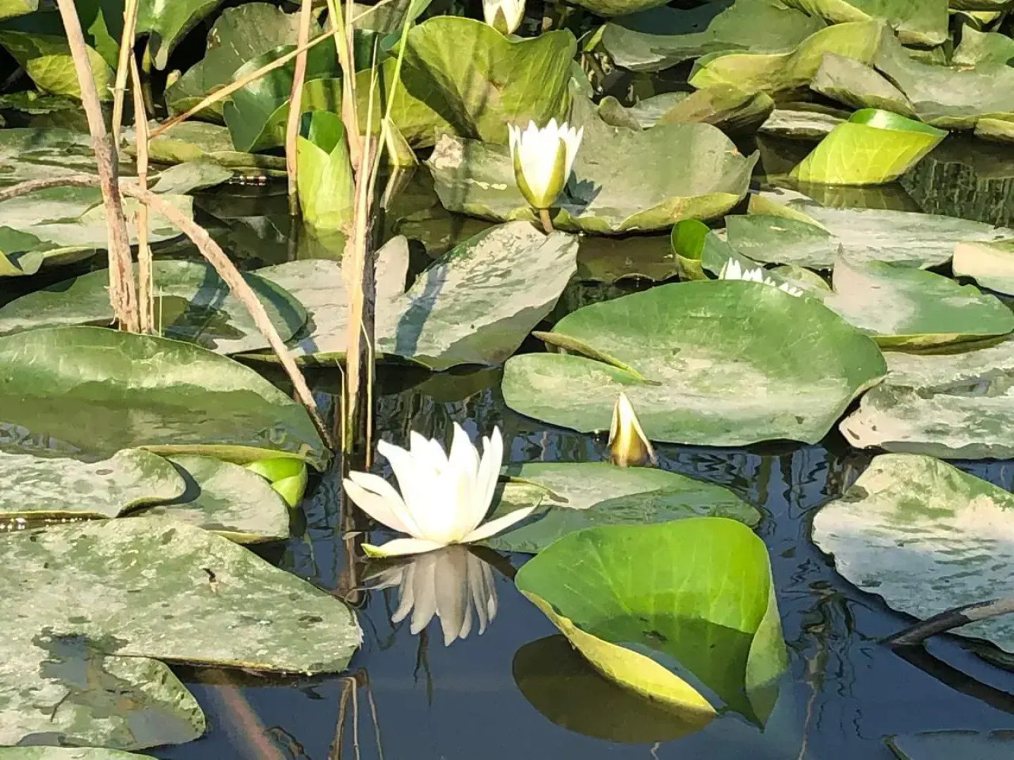 Гостевой дом у Макса