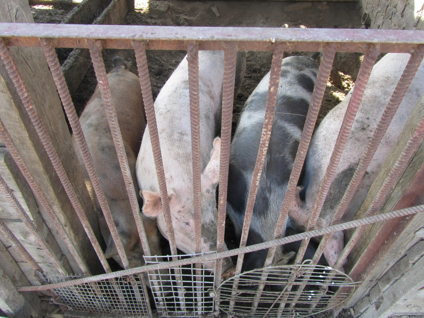 База Отдыха Найт Флайт