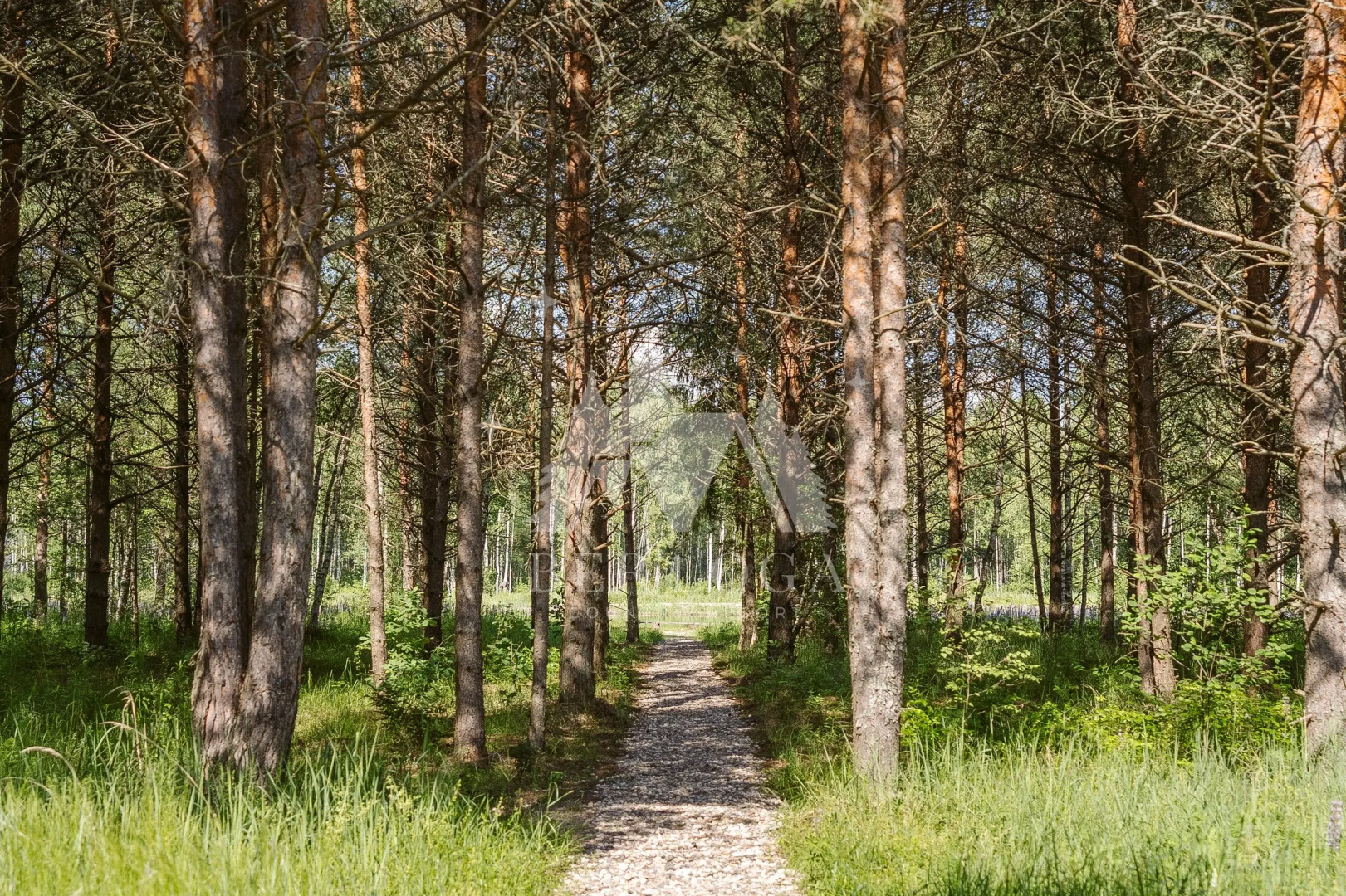 База отдыха Berloga Country Resort