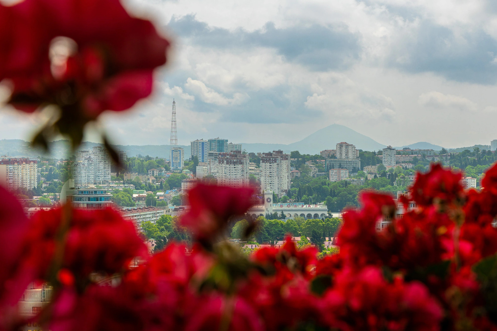 Апартаменты на улице Виноградной 15/1