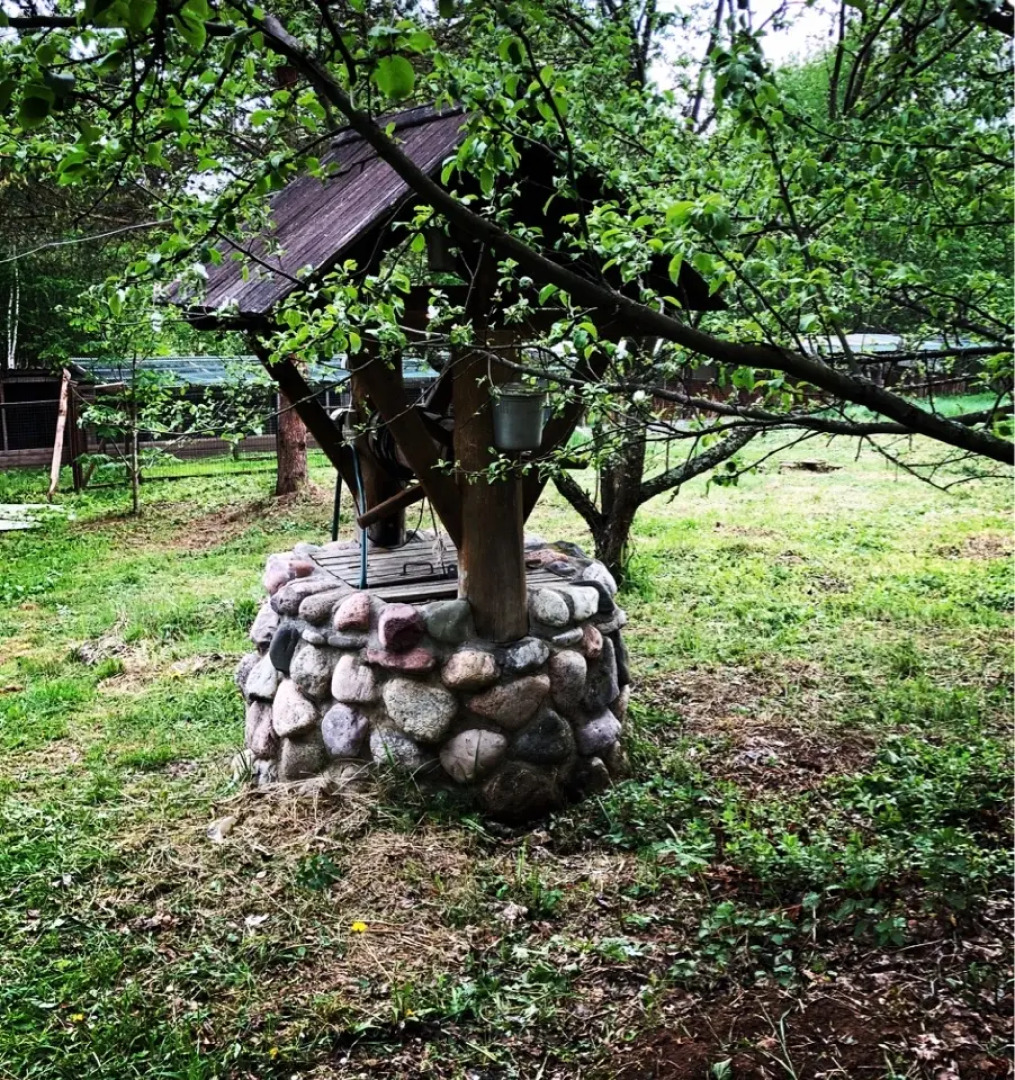 База Отдыха Constanta