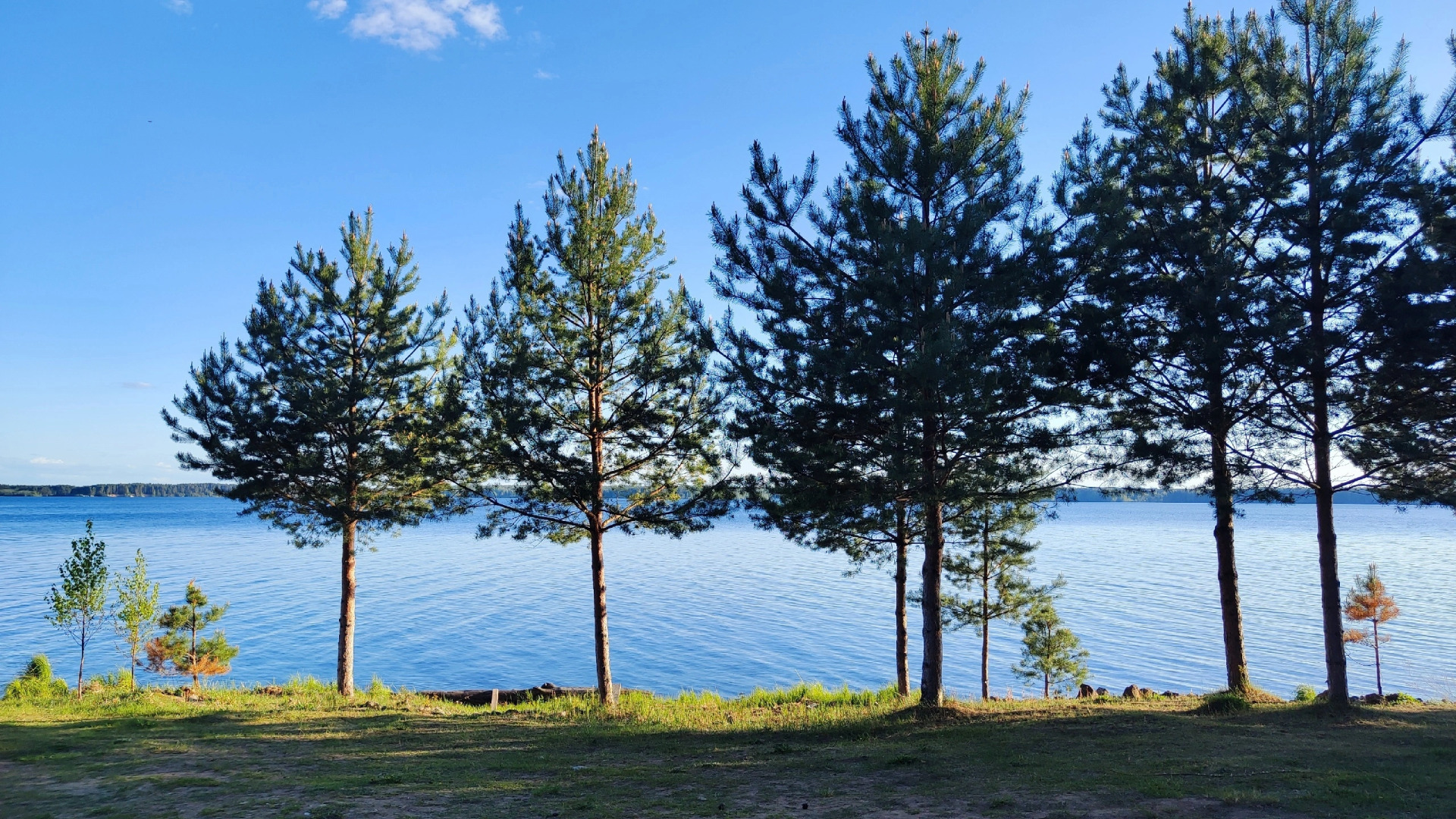 Частный Дом в Турбазе Чайка у Озера