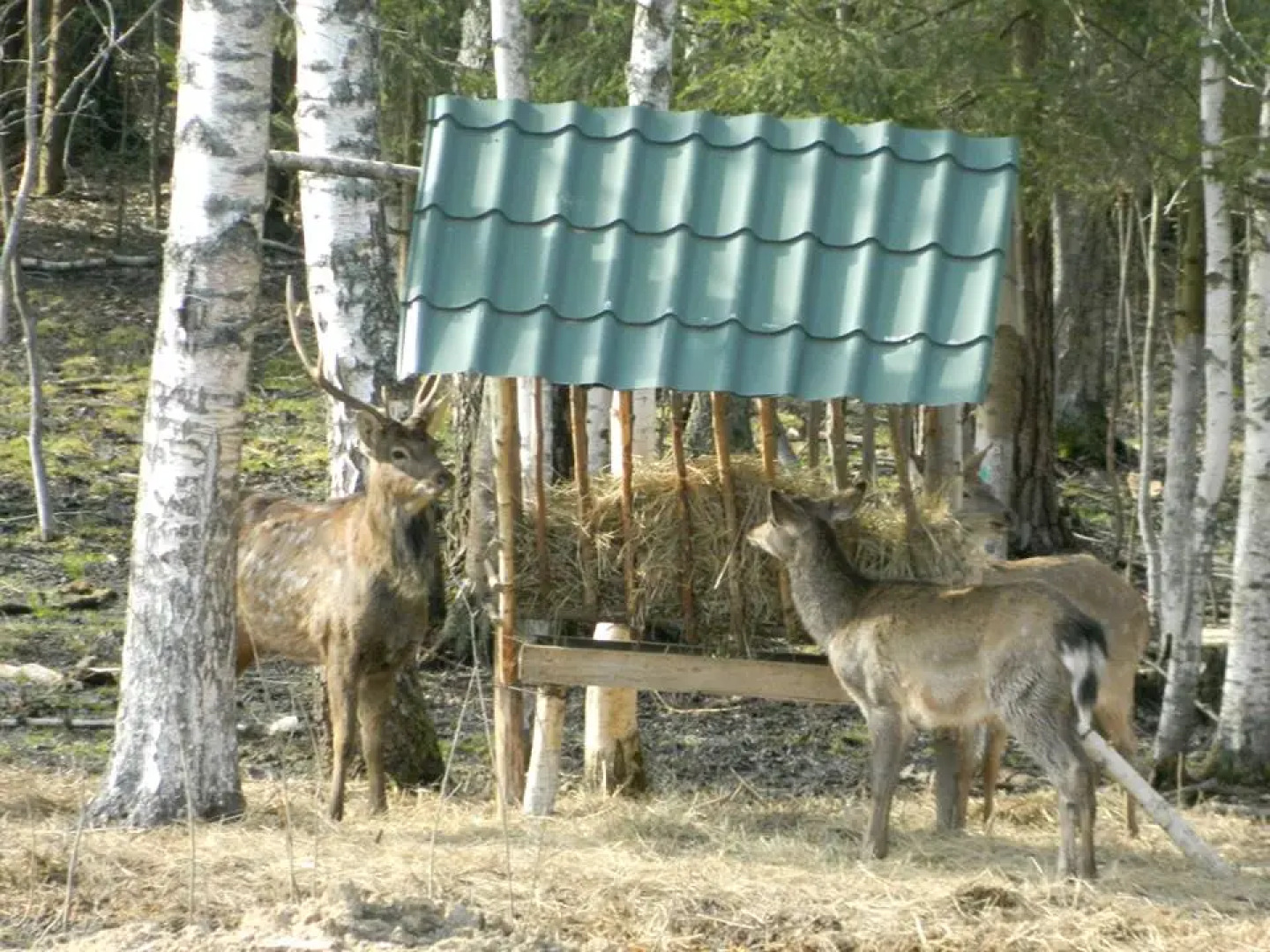 База Отдыха Арт Усадьба Веретьево