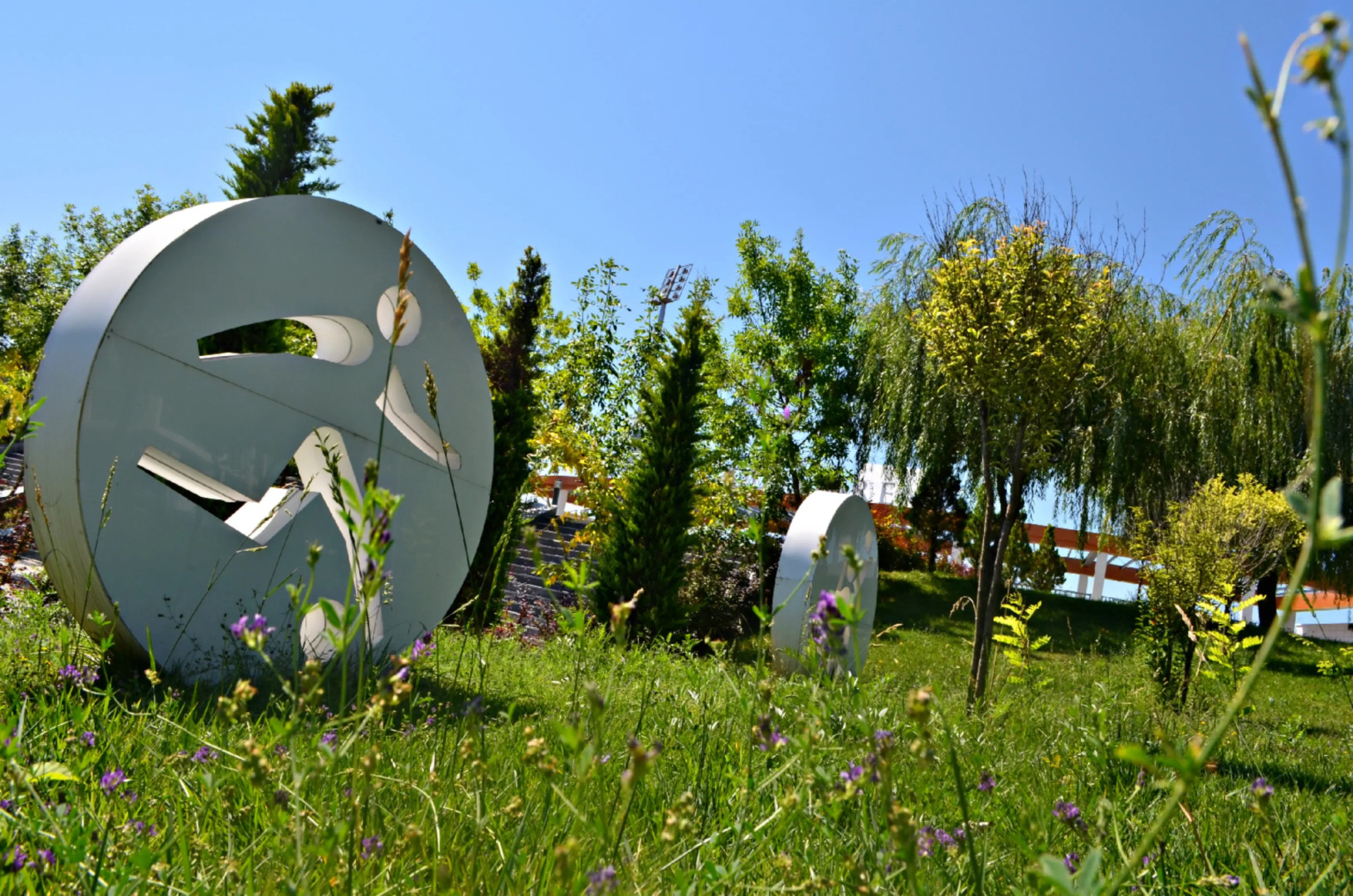 Отель Arena Sport