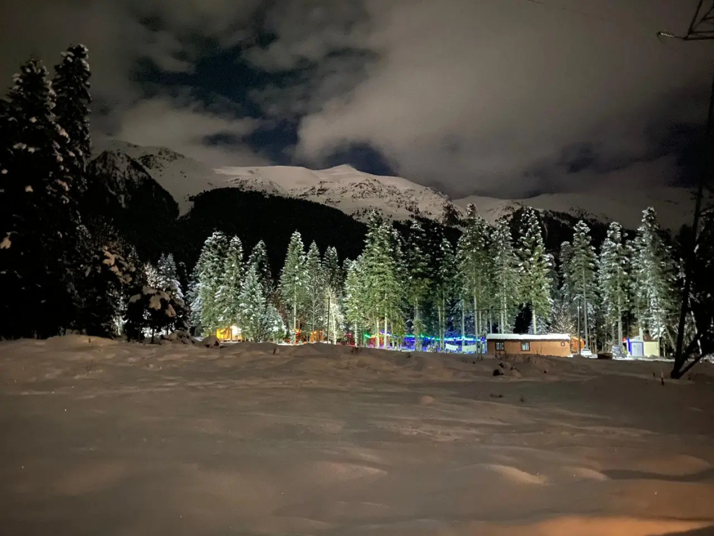 База отдыха Forest house resort