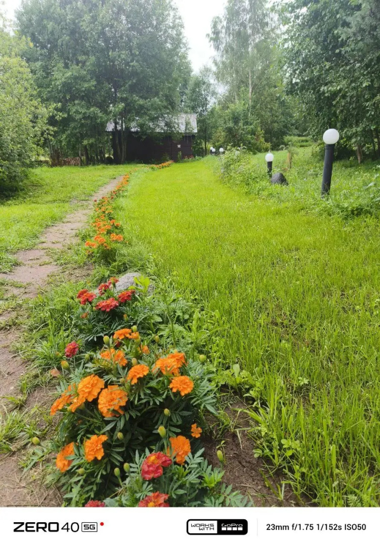 Частный дом в лесу у реки