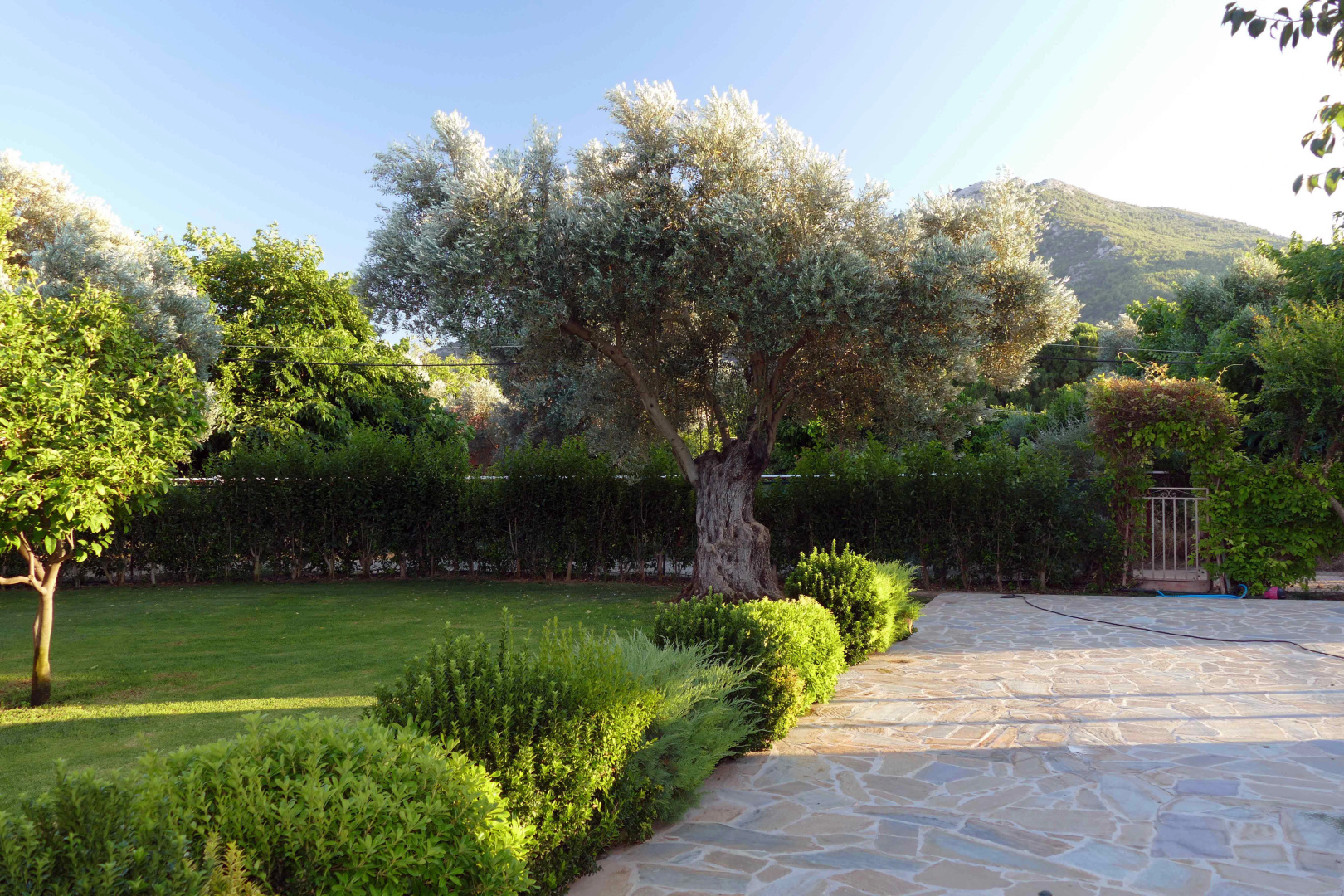 Гостевой Дом esperides holidays-House with small pool 37 km from Athens
