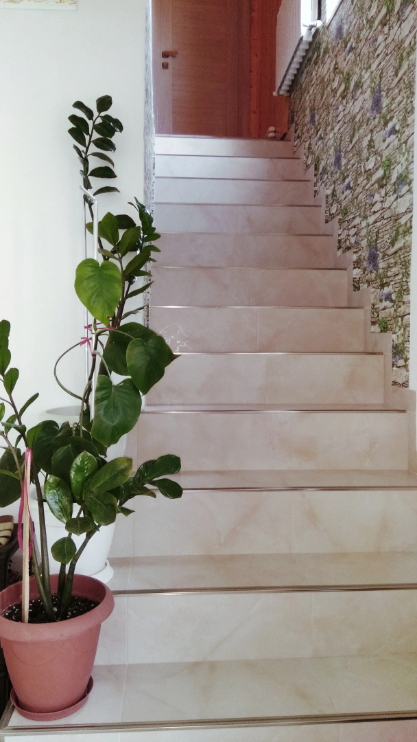 Гостевой Дом