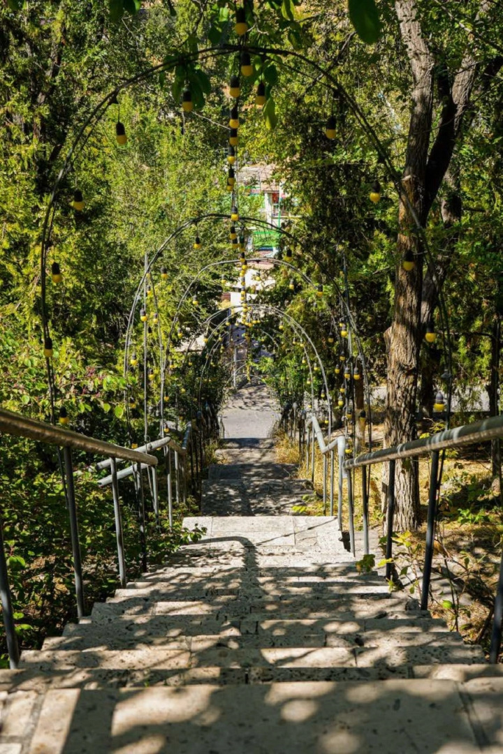 Отель Dream Forest