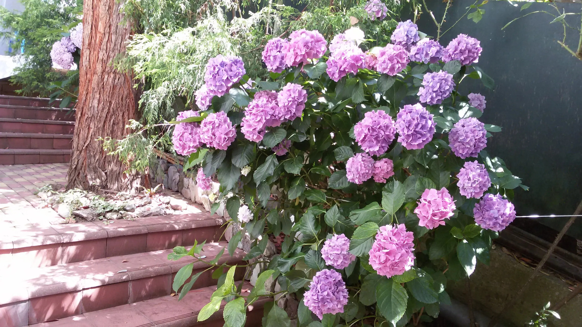 Гостевой дом Эвкалипт