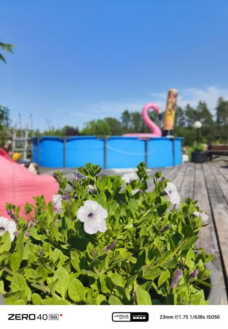 Частный дом в лесу у реки