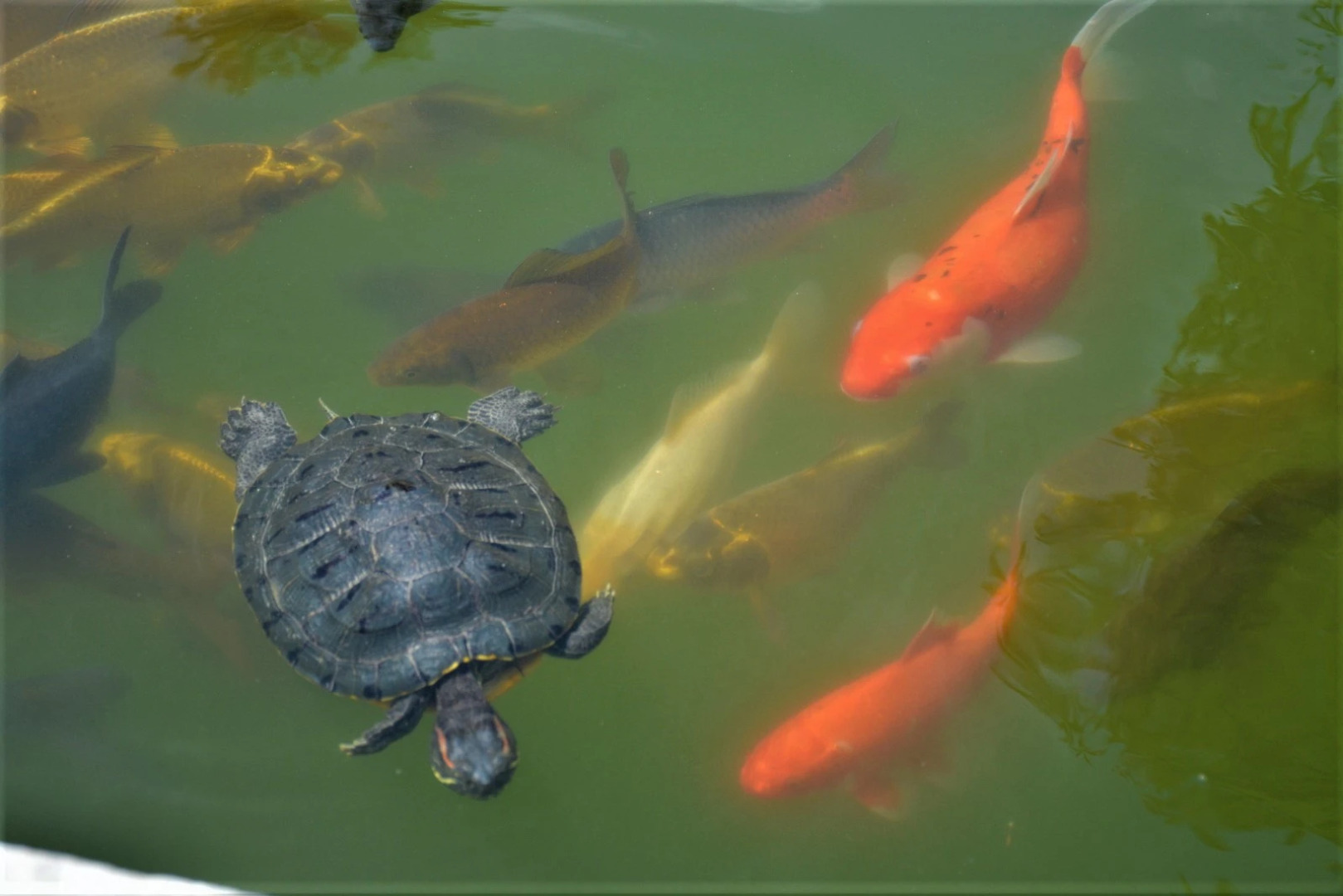 Дом Отдыха Полёт