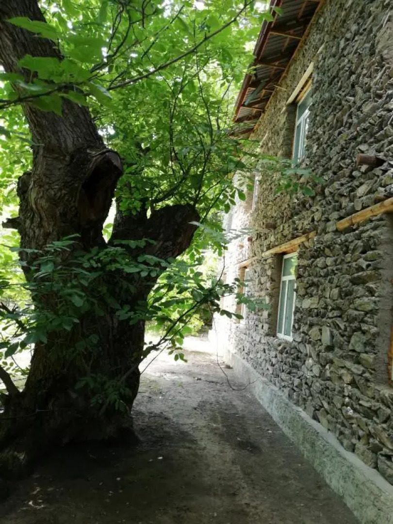 Manzarahoi Sentob hostel