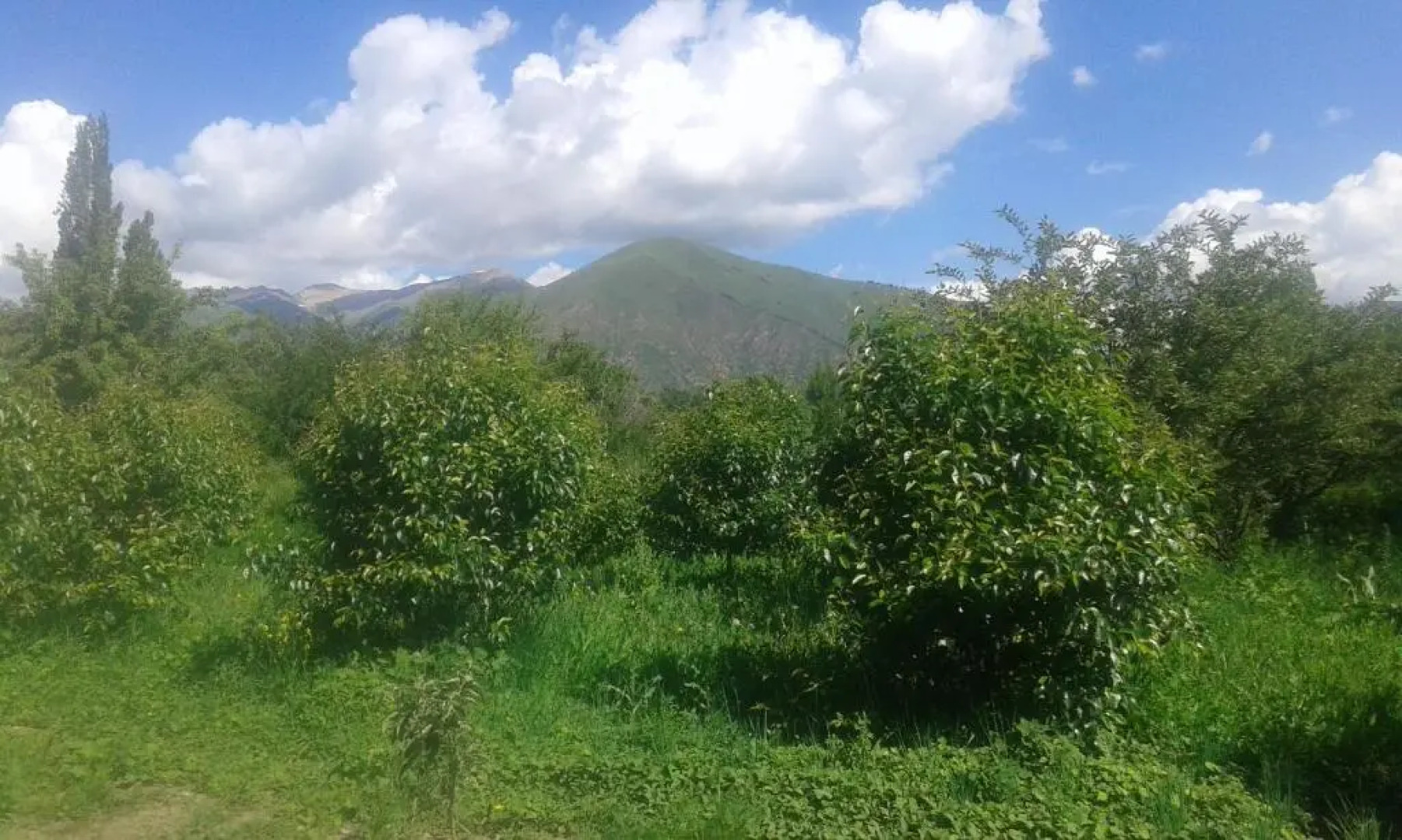 Гостевой дом Валентина Иссык-куль