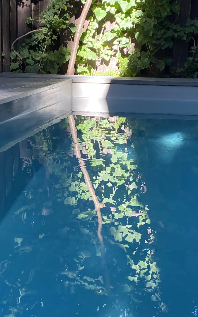 Гостевой Дом Белка