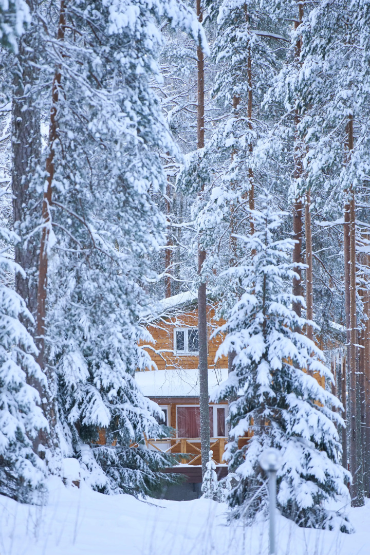База отдыха Шишки Карелия