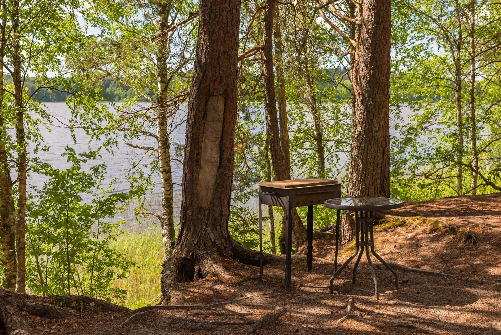 База Отдыха Янисъярви