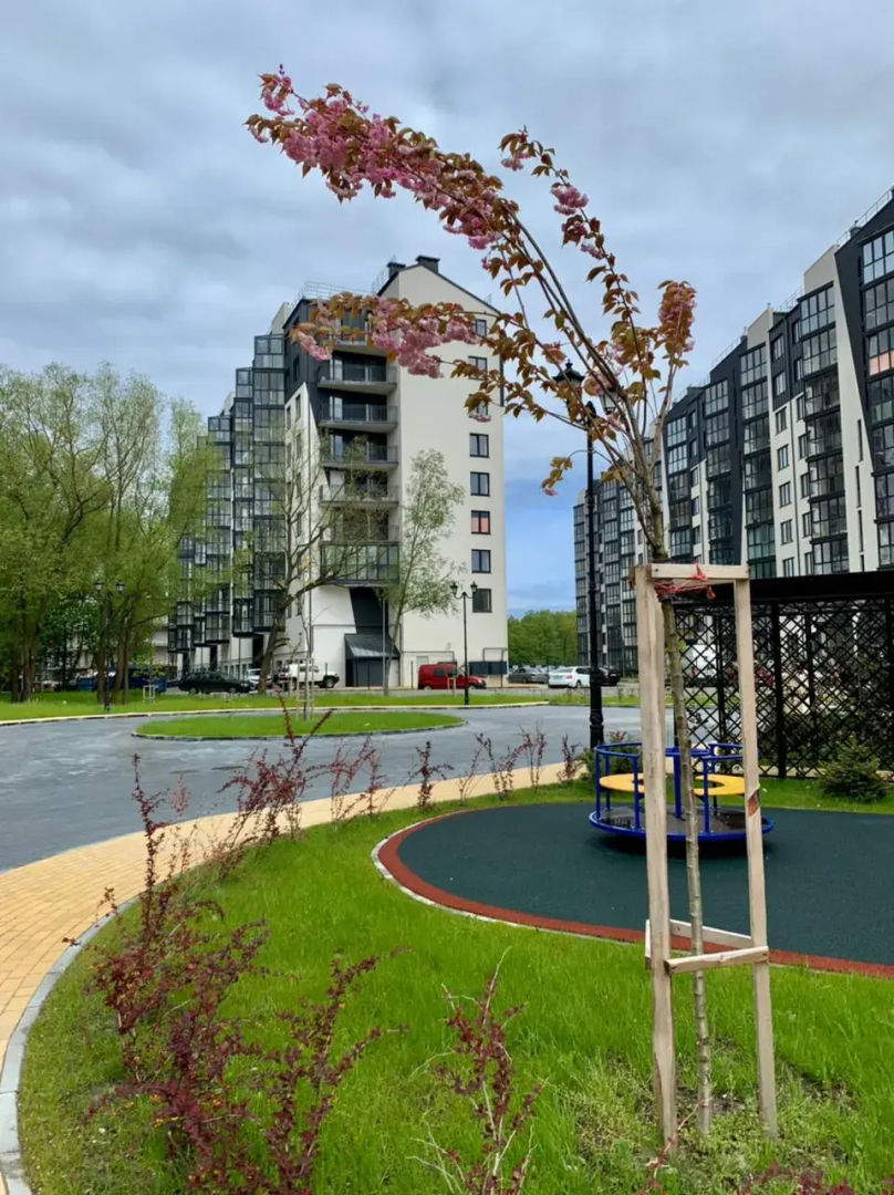 Квартира Кранц Апарт