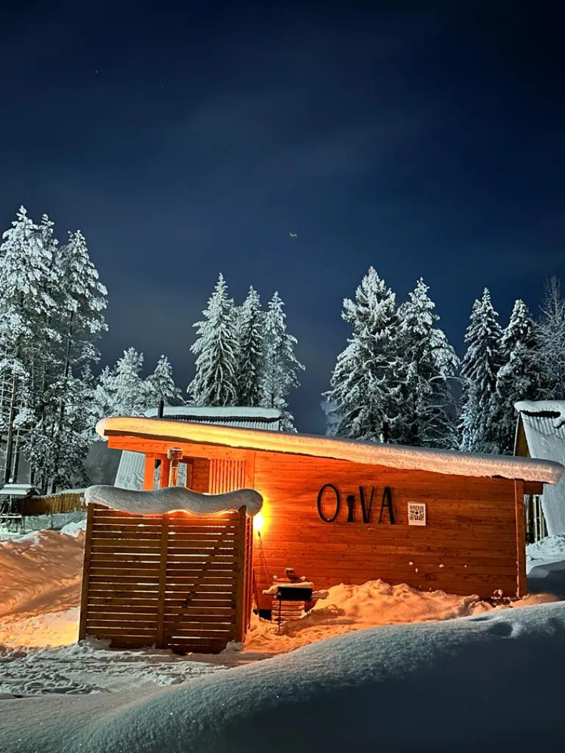 Шале OIVA