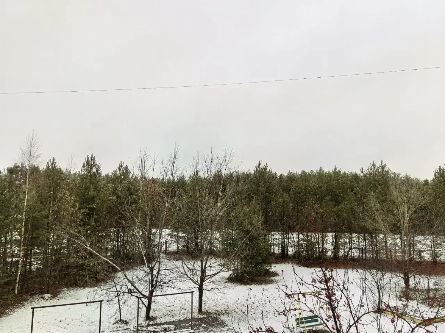 Волшебный отдых в 3-комнатной квартире: зимняя сказка в сосновом бору Великого Устюга