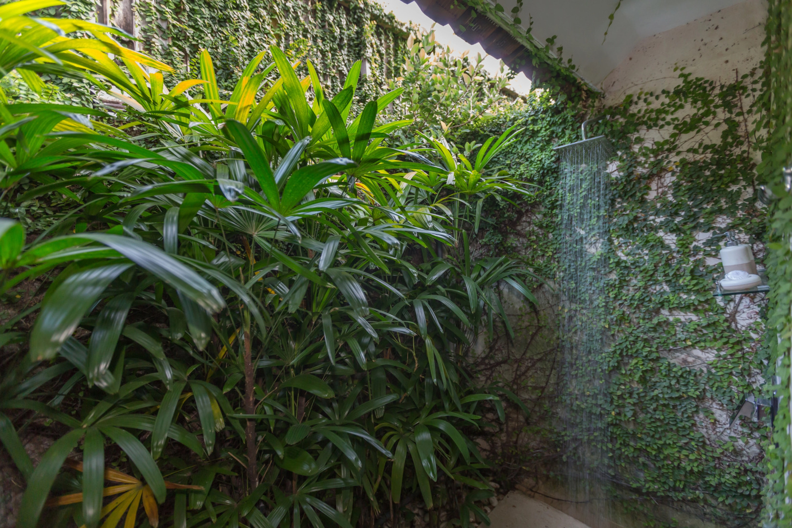 Вилла Esha Drupadi I