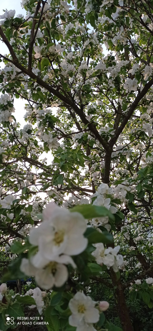 Отель Дом солнца