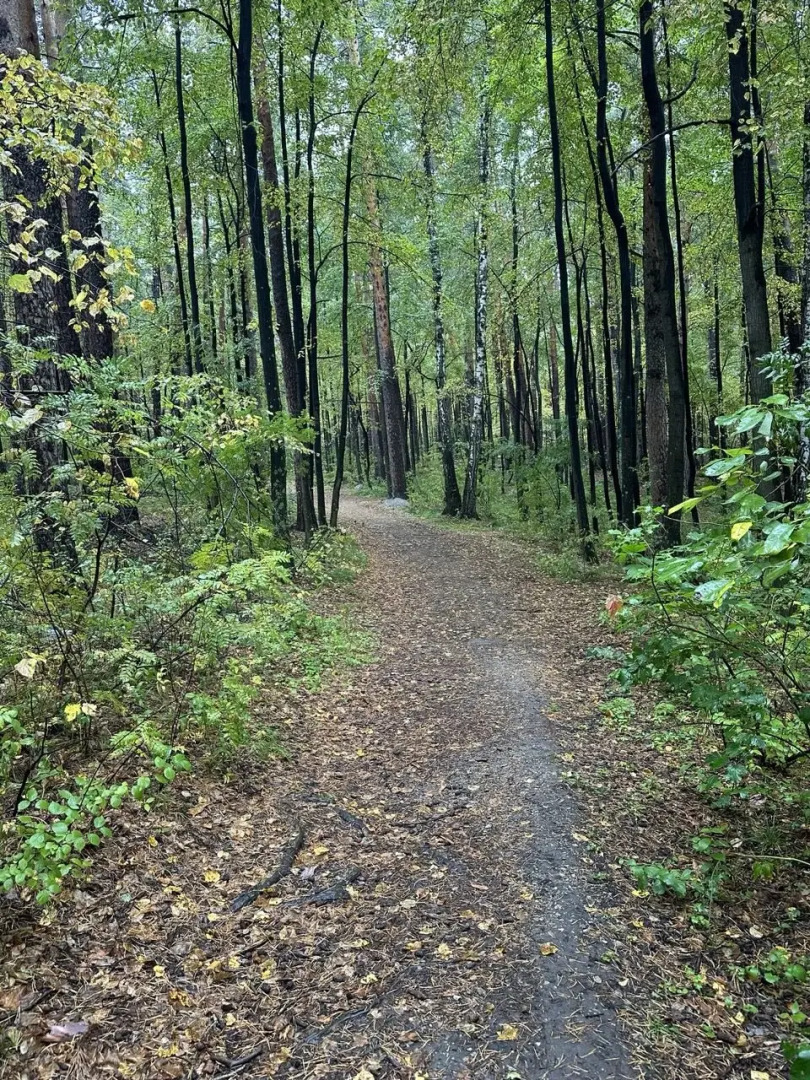 Апартаменты Уютные на озере Еловое