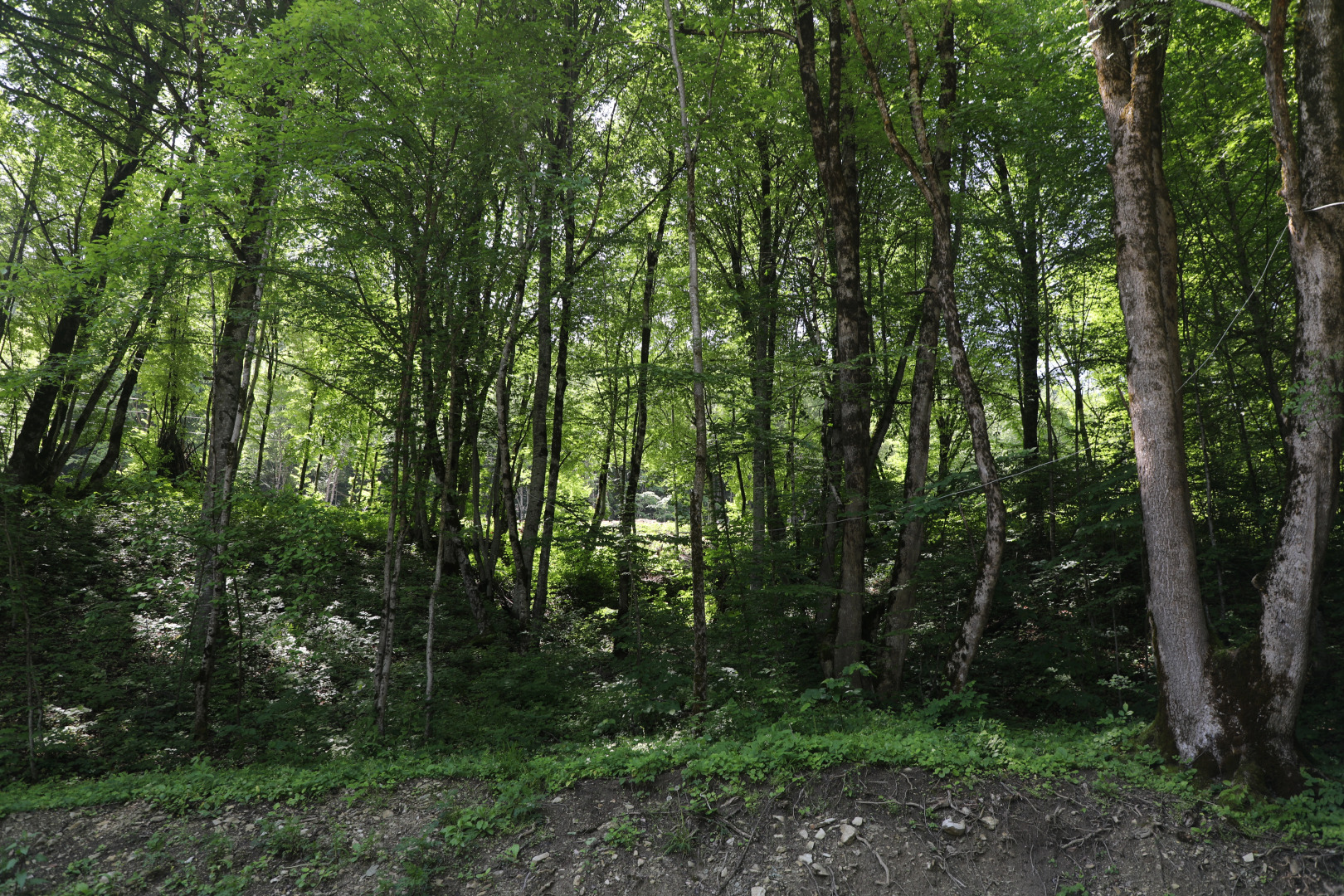 Всесезонный Курорт "Беной"