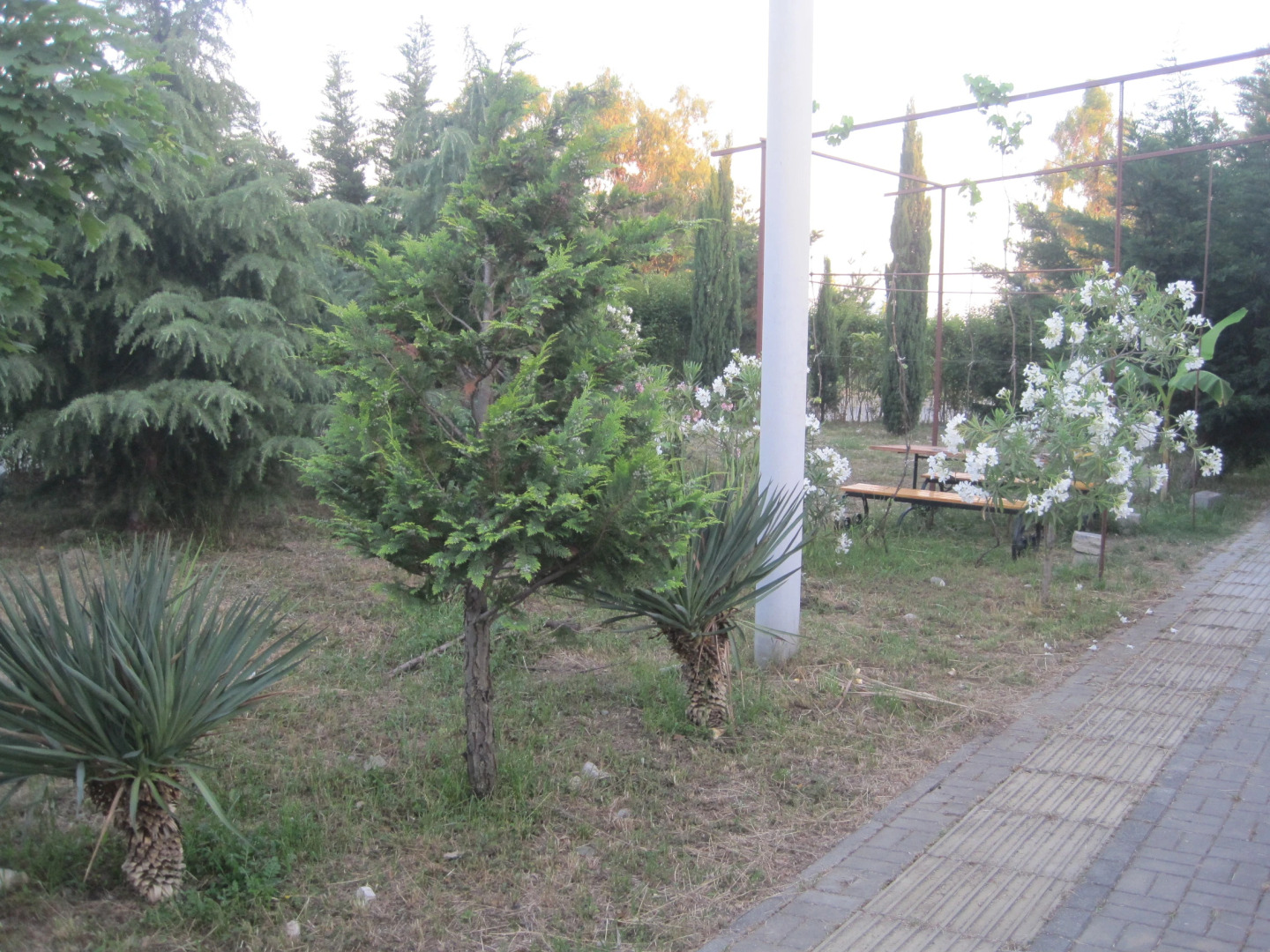 Guest House Veles