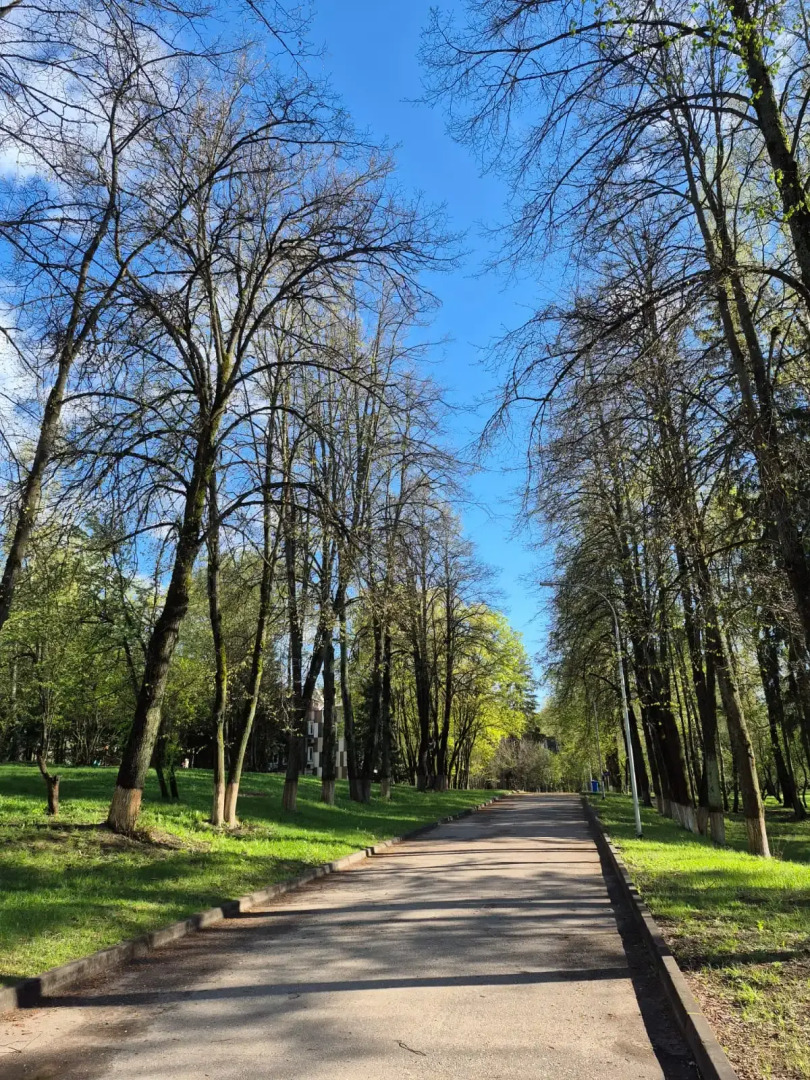 Отель Парк Актер-Руза