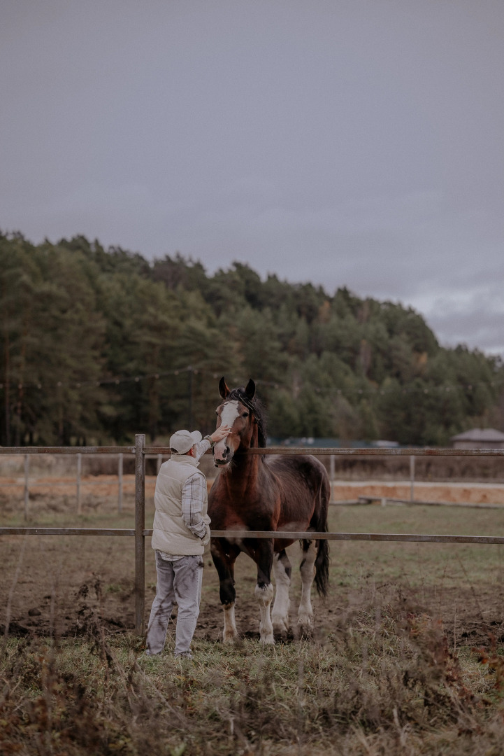 Отель Пайн Ривер