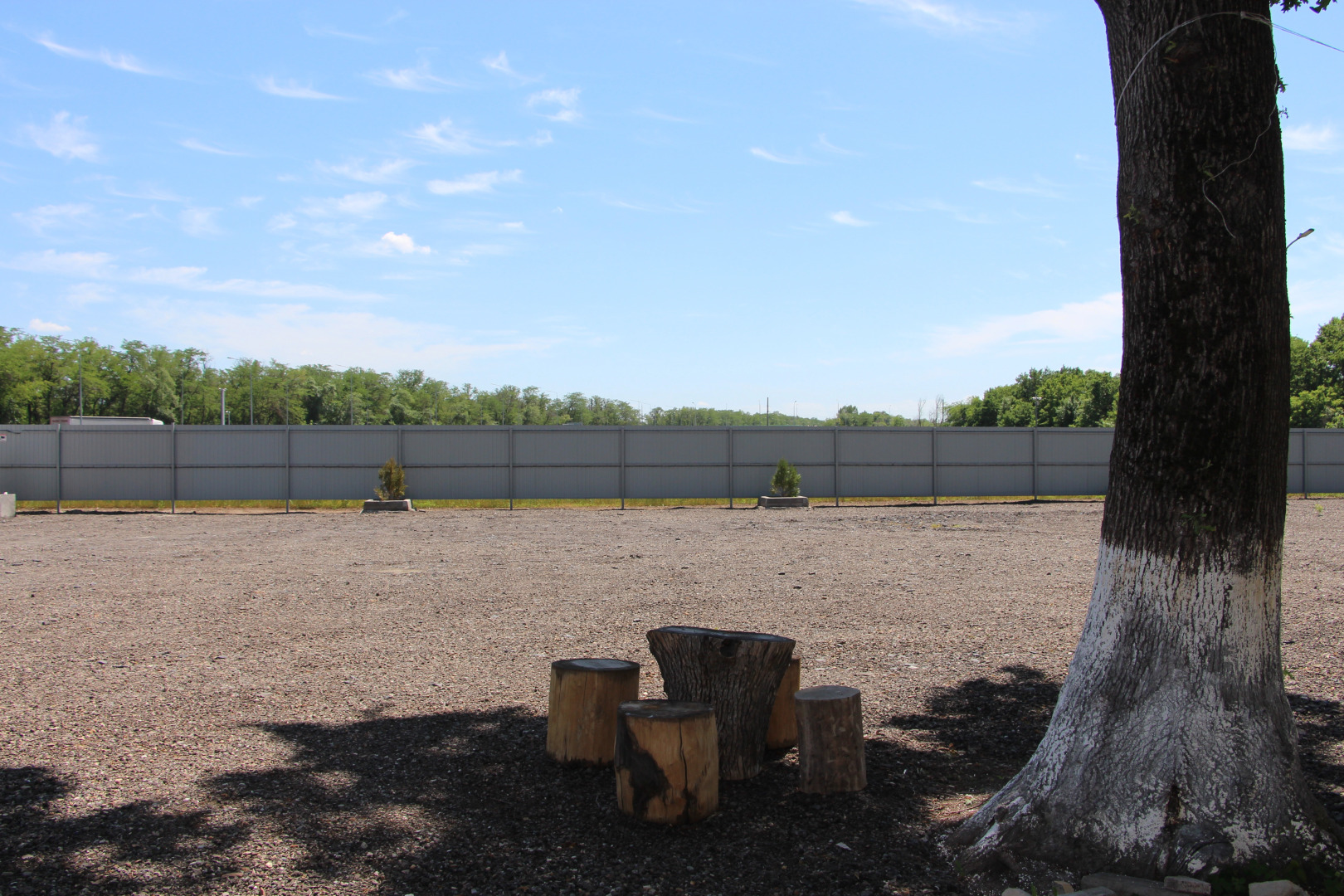 Гостиница Дубрава