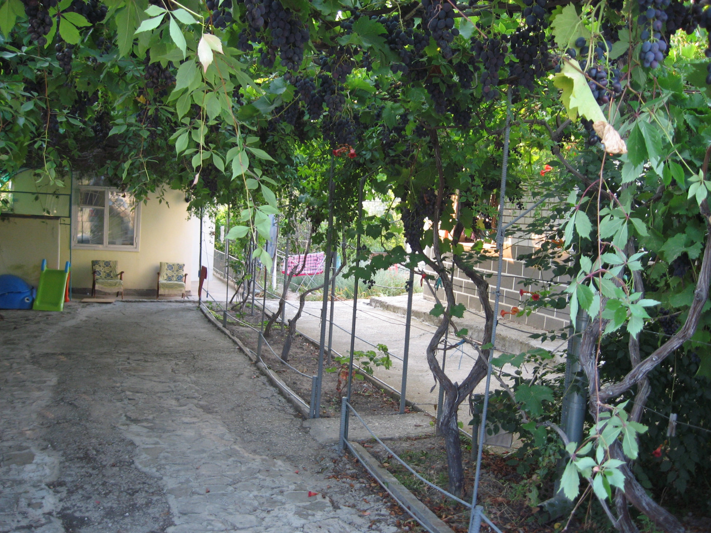 Отель Гостевой Дом