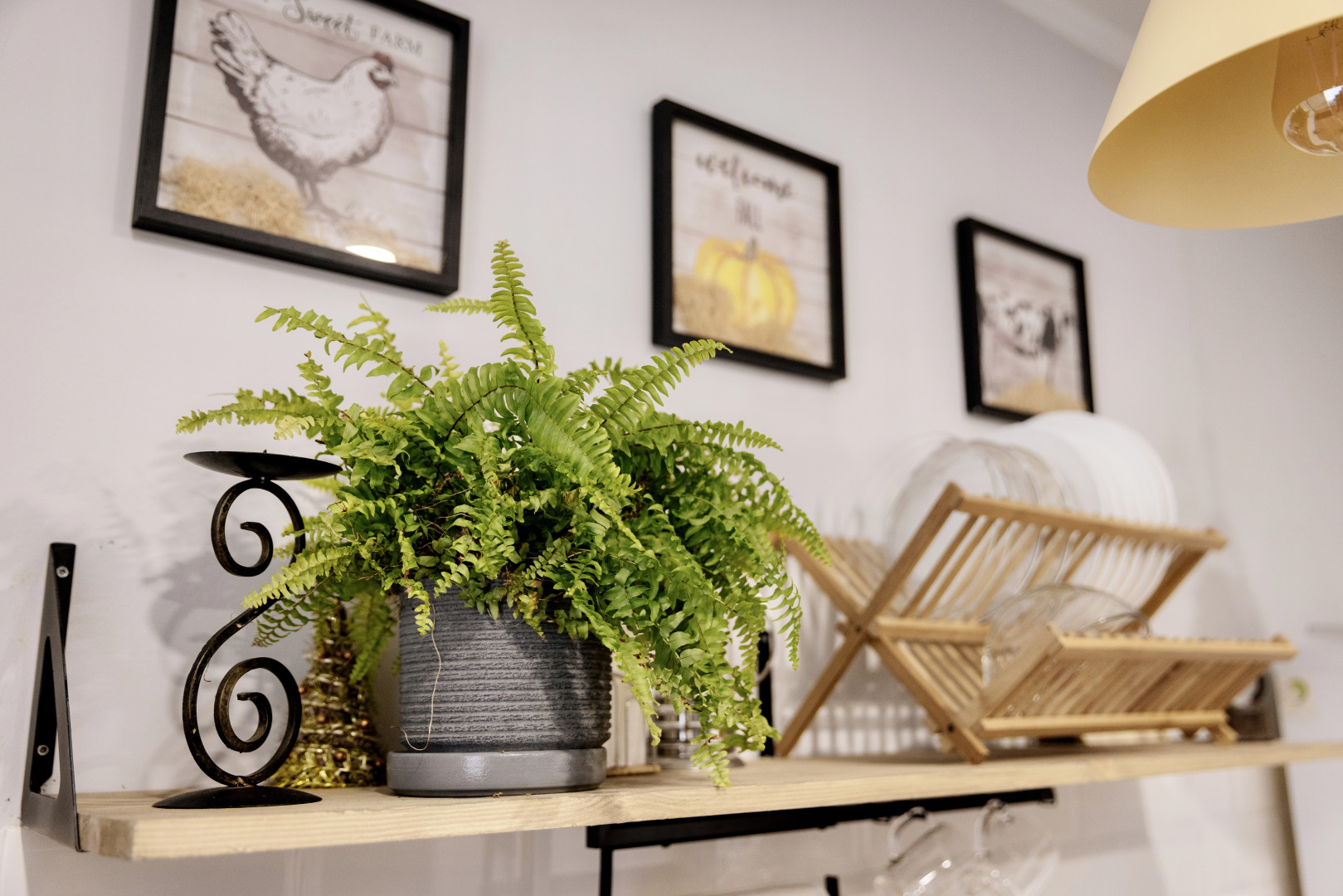 Апартаменты в центре Костромы