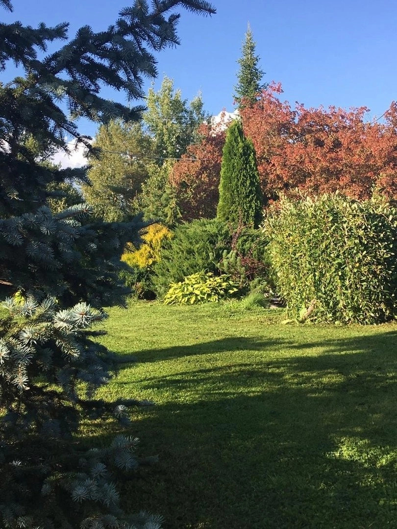 Усадьба Ястребино коттедж Верхний Дом