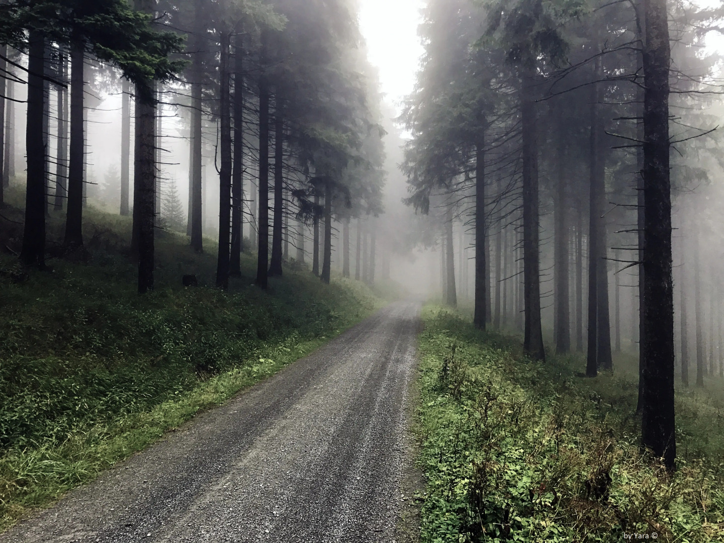 Апартаменты Fichtelbeger Blick