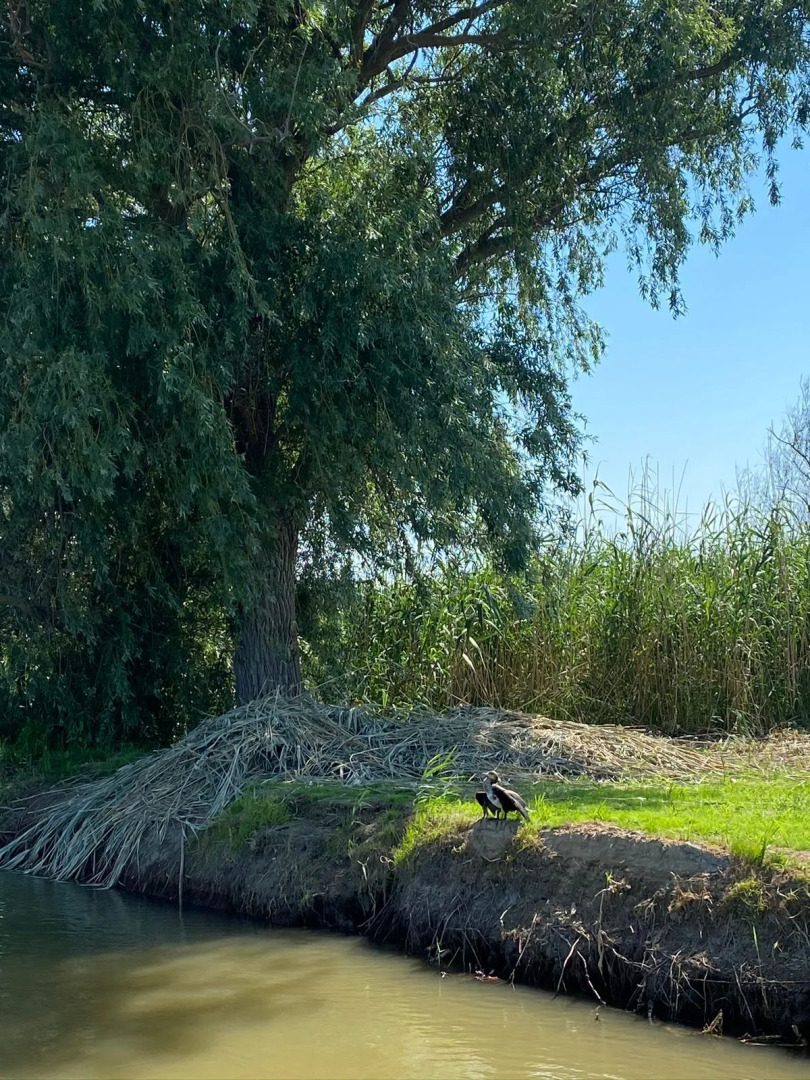 База отдыха Грэй Гуз