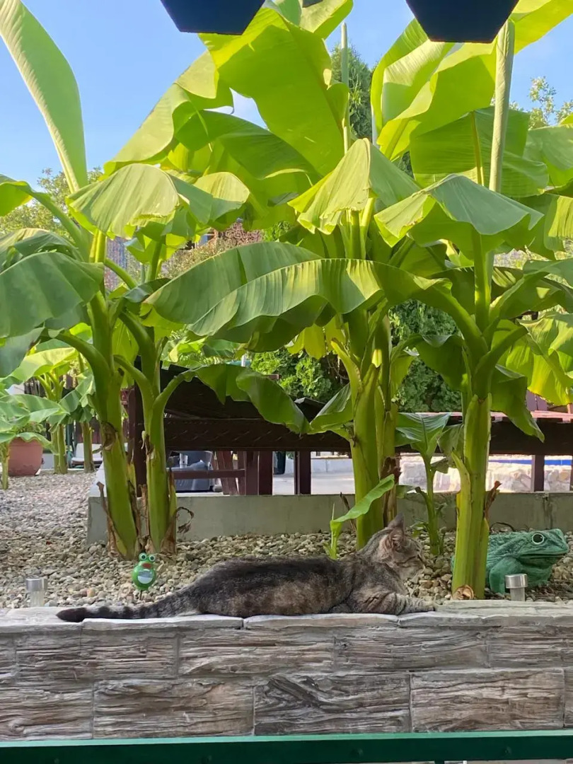 Гостевой дом Архипка Rooms