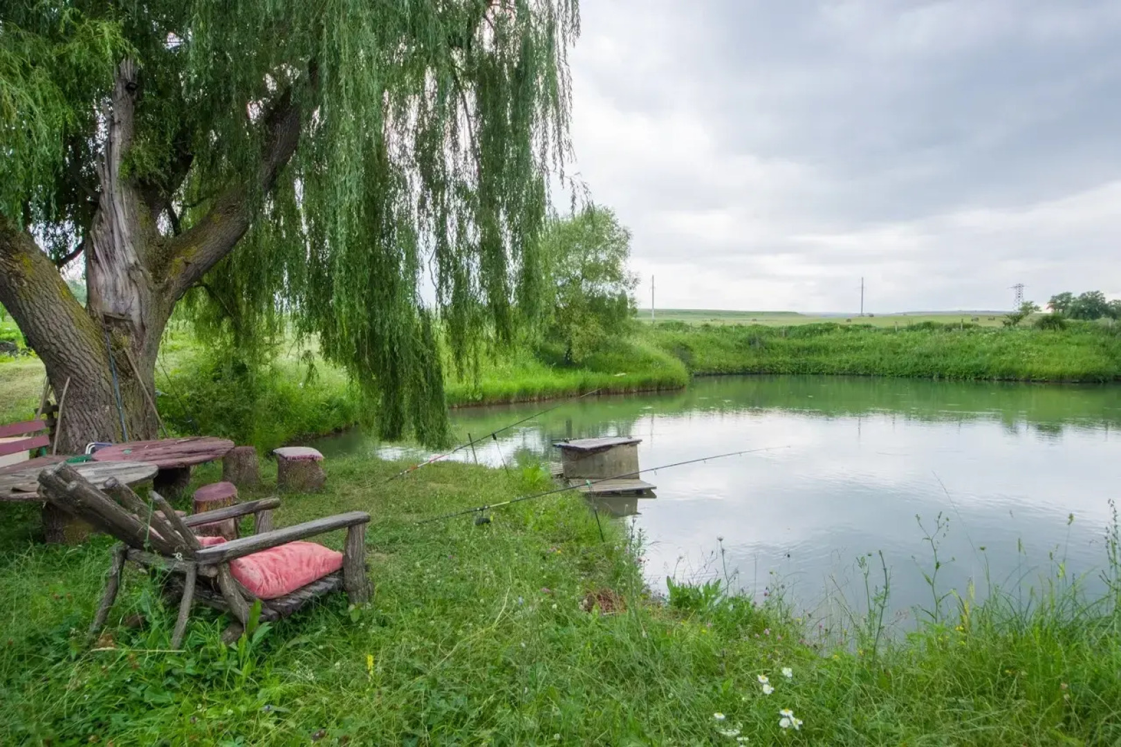 Частный дом Эко Базель