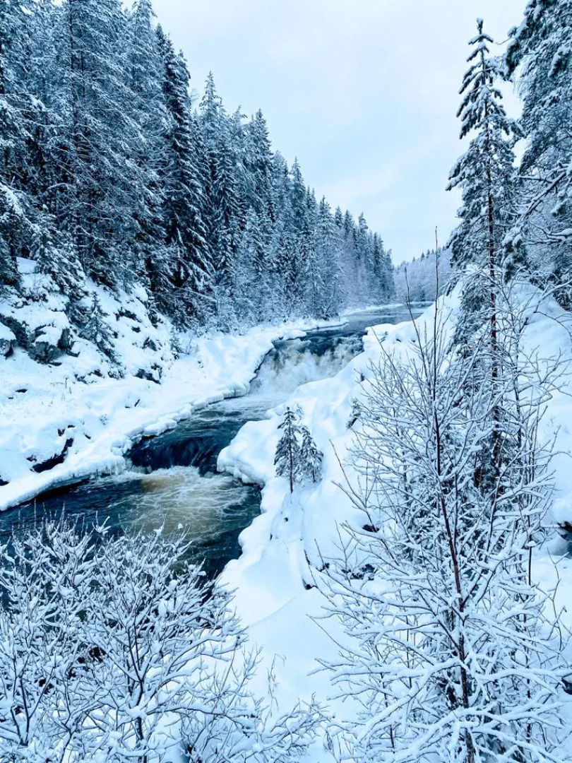 Частный дом Вилла в Карелии 2