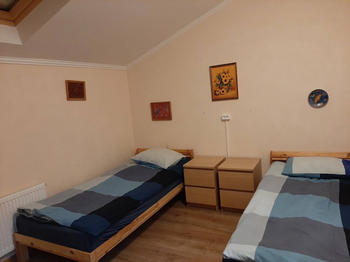 Частный дом Большая дача в Ушаках 1