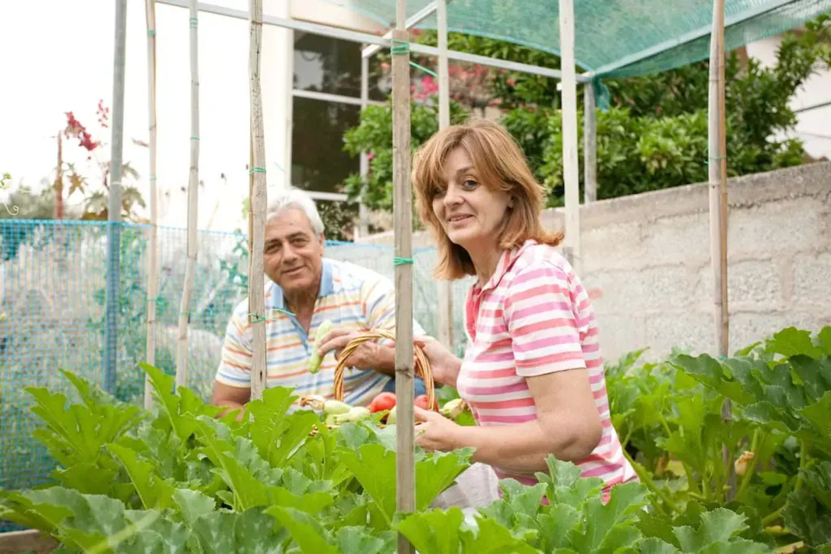Гостевой дом Veggie Garden Athens