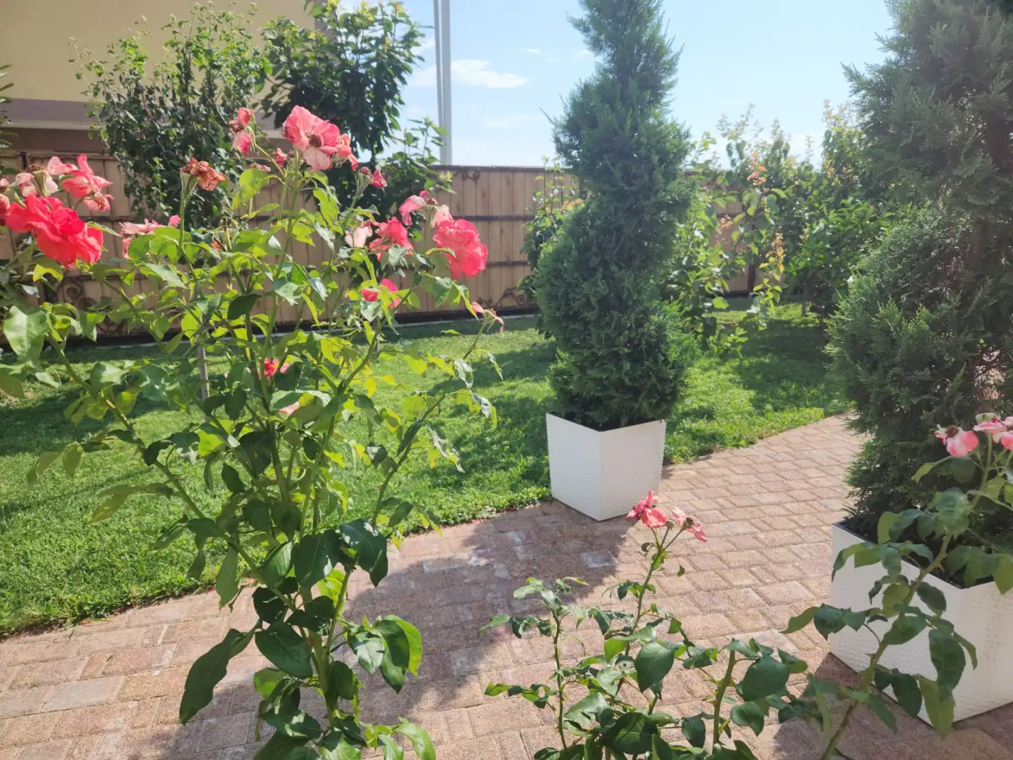 Апартаменты в Сириусе с видом на море и Олимпийский парк