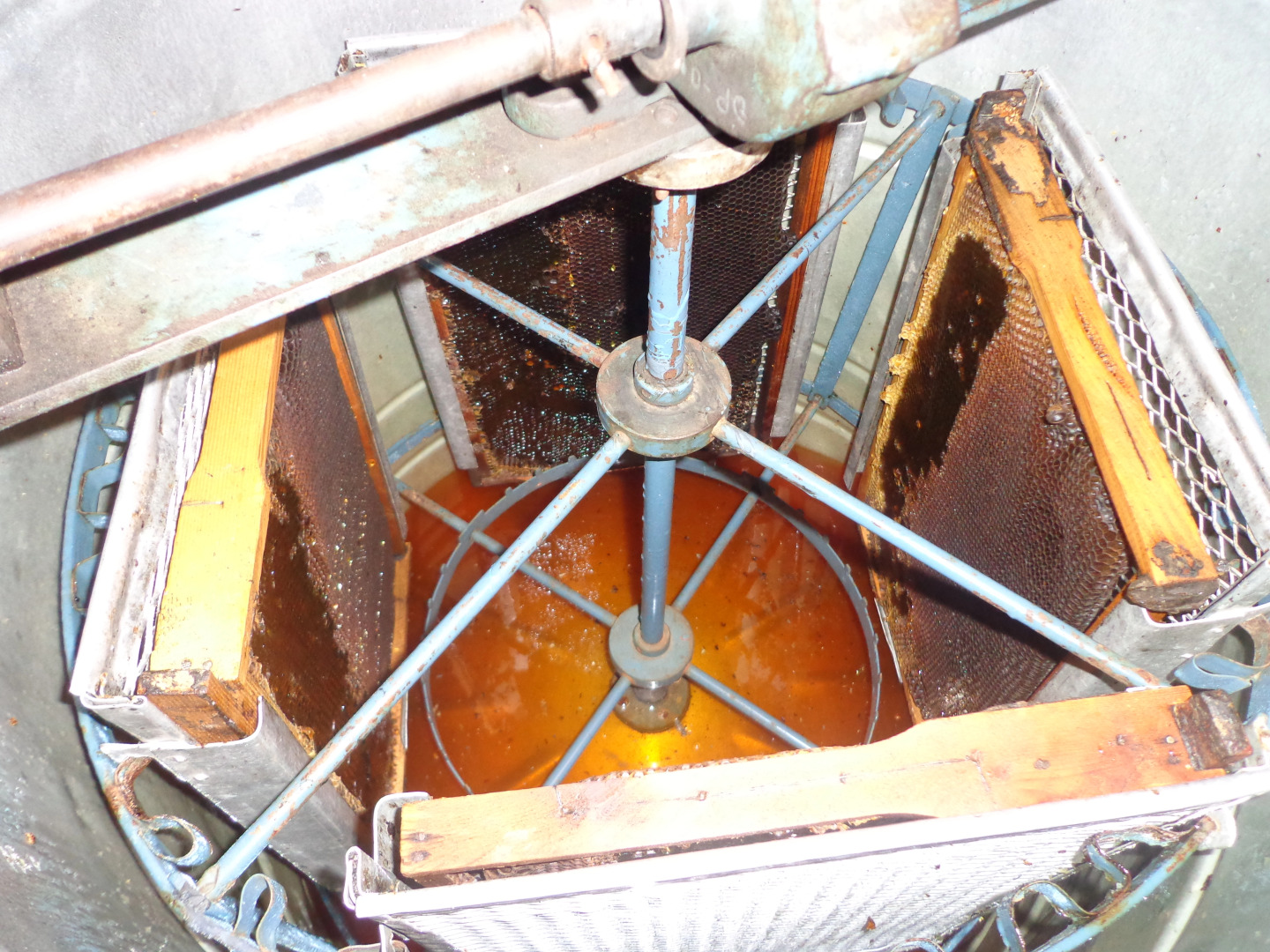 Гостевой Дом Anush`s B&B