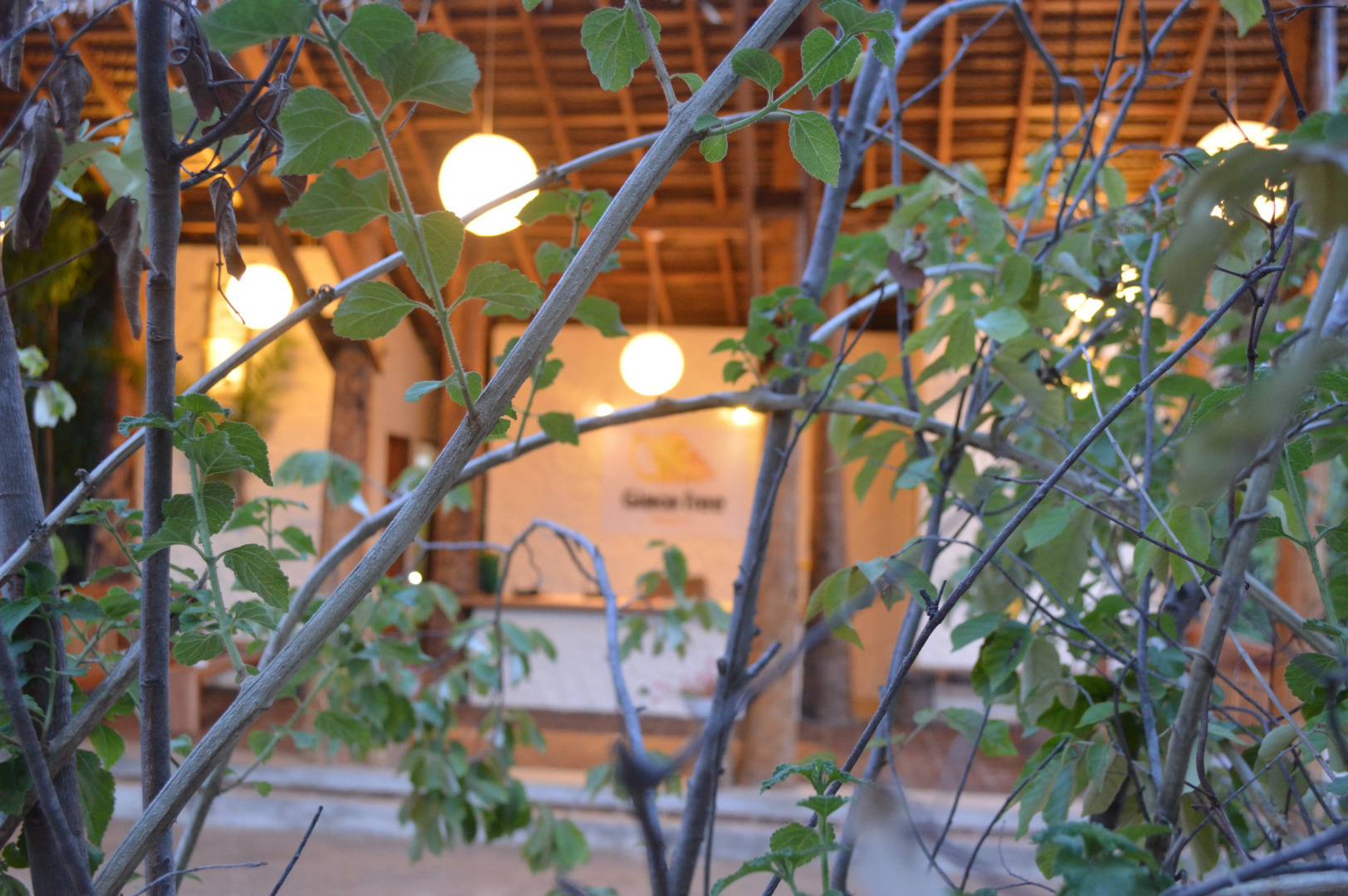 Отель Giman Free Beach Resort