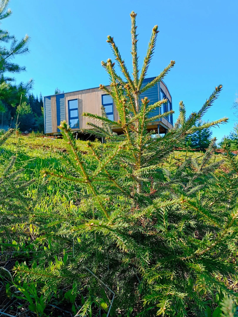 Частный Дом СчастьеЛюбитТишину