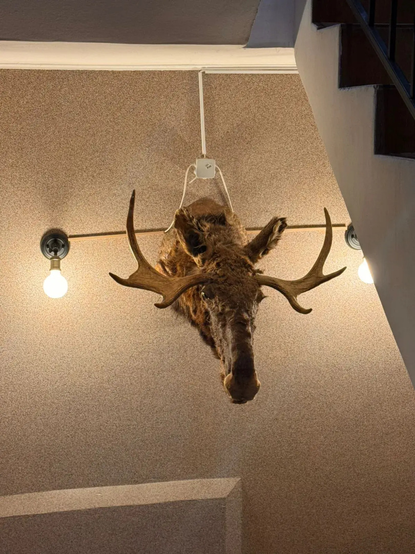 Отель Номера в Пушкине