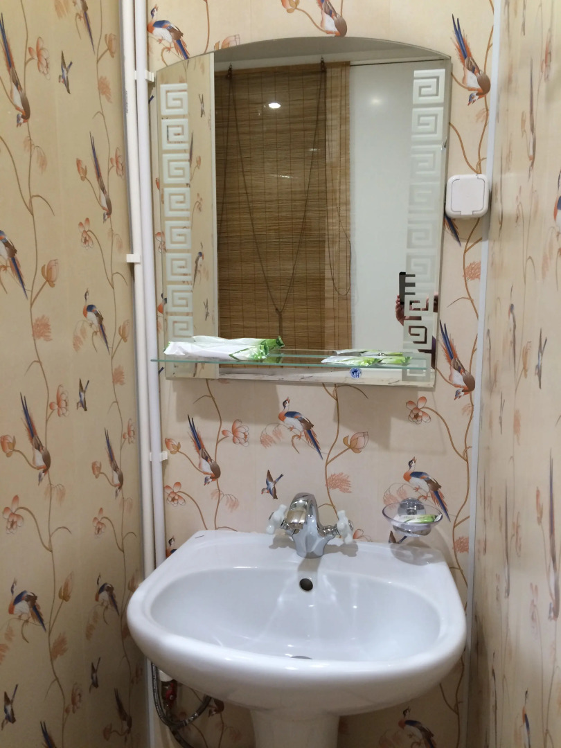 Отель Ариэль